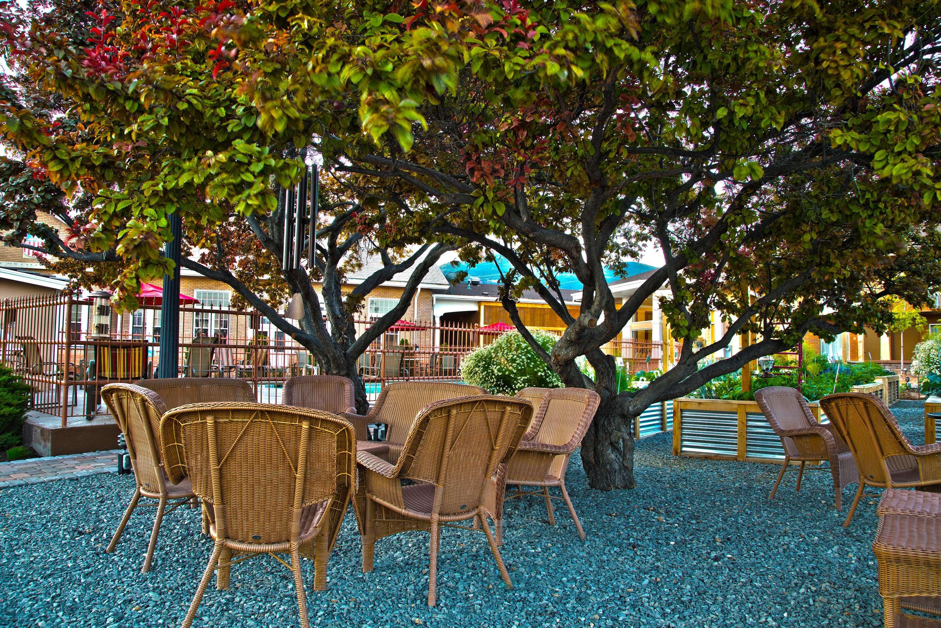 Best Western Plus Cedar City Exterior photo
